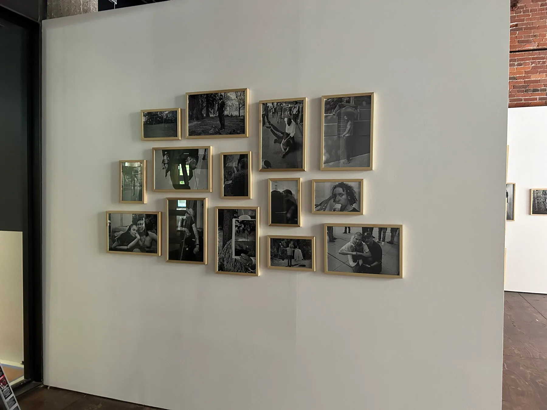A complete body of work framed for an art show in matching custom sizes